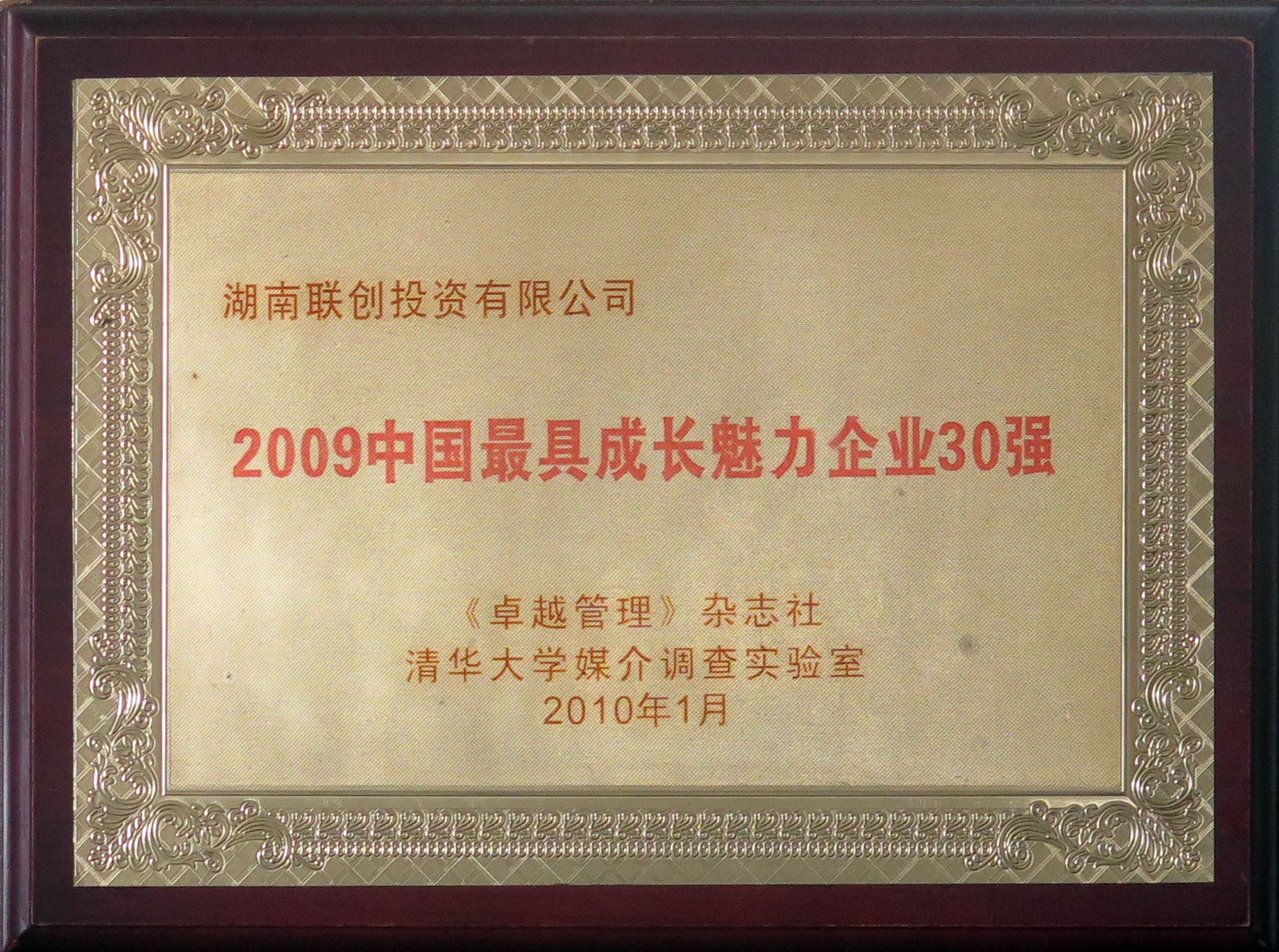 2009中国最具成长魅力企业30强